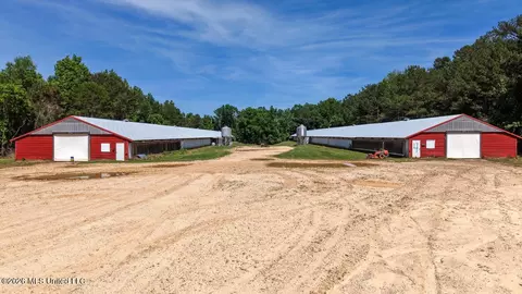 Smithtown Chicora Road, State Line, MS 39362 photo 9