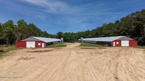 Smithtown Chicora Road, State Line, MS 39362 photo 6