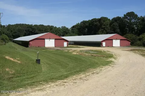 Smithtown Chicora Road, State Line, MS 39362 photo 10