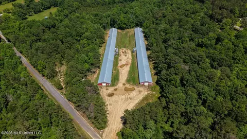 Smithtown Chicora Road, State Line, MS 39362 photo 37