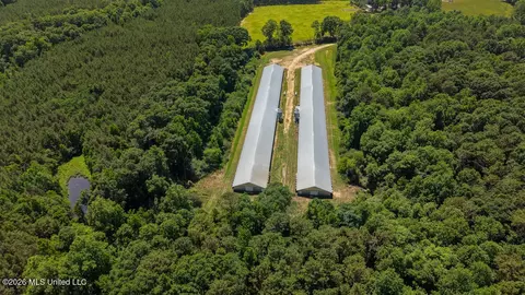 Smithtown Chicora Road, State Line, MS 39362 photo 36