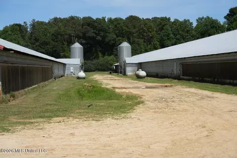 Smithtown Chicora Road, State Line, MS 39362 photo 12