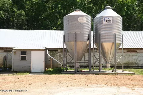 Smithtown Chicora Road, State Line, MS 39362 photo 19