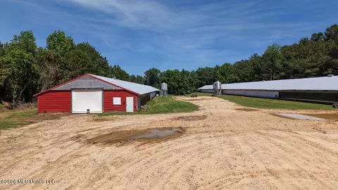 Smithtown Chicora Road, State Line, MS 39362 photo 7