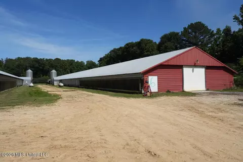 Smithtown Chicora Road, State Line, MS 39362 photo 11