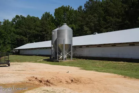 Smithtown Chicora Road, State Line, MS 39362 photo 15