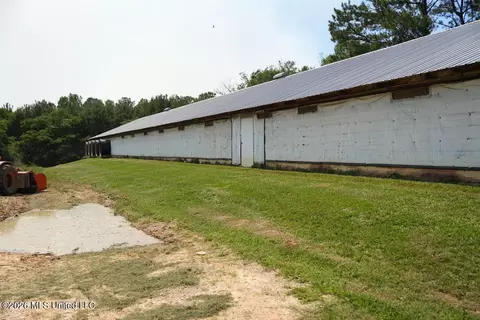 Smithtown Chicora Road, State Line, MS 39362 photo 18