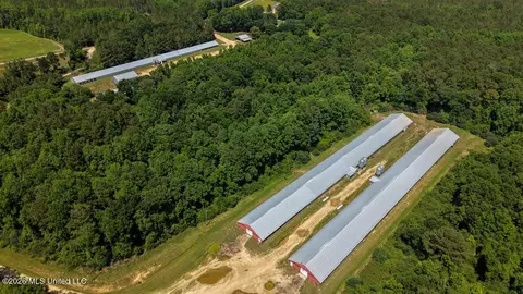 Smithtown Chicora Road, State Line, MS 39362