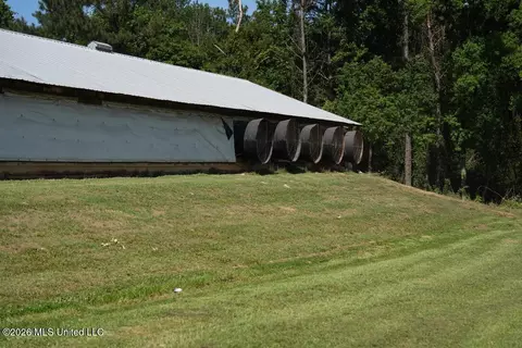Smithtown Chicora Road, State Line, MS 39362 photo 21