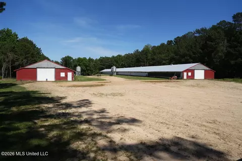 Smithtown Chicora Road, State Line, MS 39362 photo 13