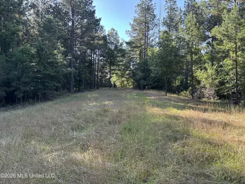 Beach Road, Roxie, MS 39661 photo 23