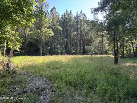 Beach Road, Roxie, MS 39661 photo 13