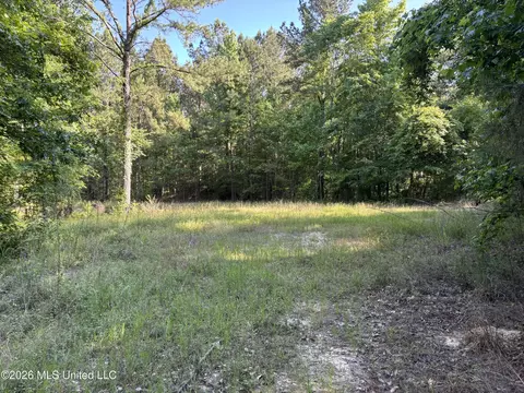 Beach Road, Roxie, MS 39661 photo 18