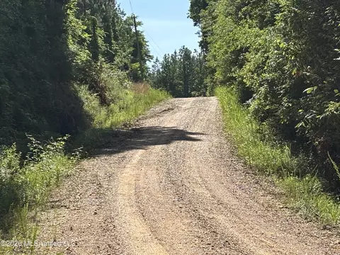 Beach Road, Roxie, MS 39661 photo 4
