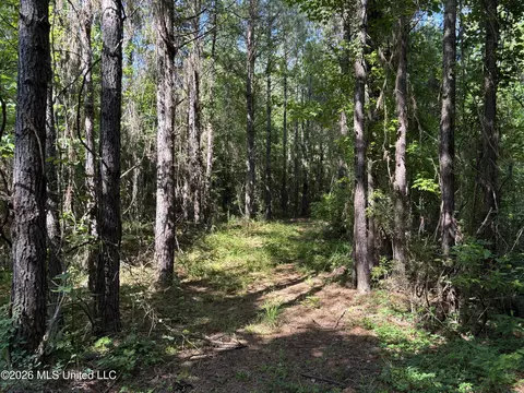 Beach Road, Roxie, MS 39661 photo 7