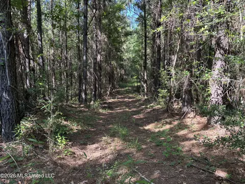 Beach Road, Roxie, MS 39661 photo 6