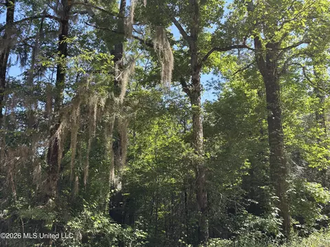 Beach Road, Roxie, MS 39661 photo 5