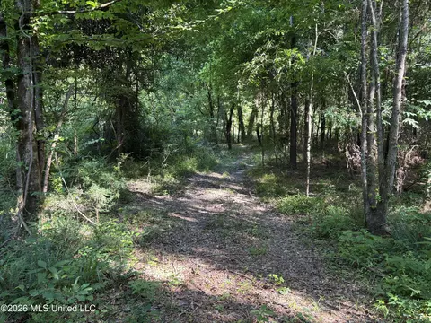 Beach Road, Roxie, MS 39661 photo 16