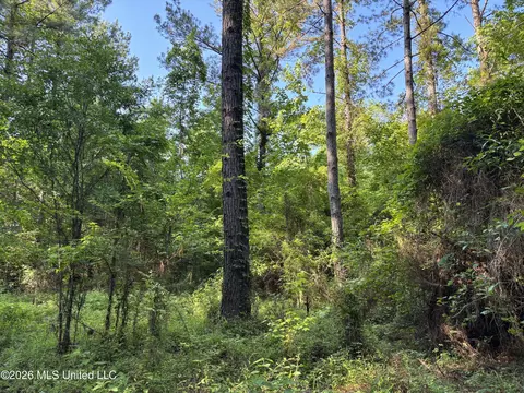 Beach Road, Roxie, MS 39661 photo 2