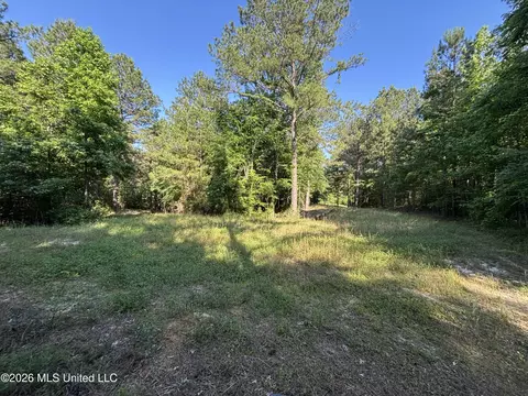 Beach Road, Roxie, MS 39661 photo 19