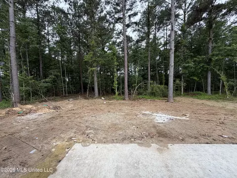 Exterior - 224 New Haven Ln, Brandon, MS 39042 photo 3 of 3