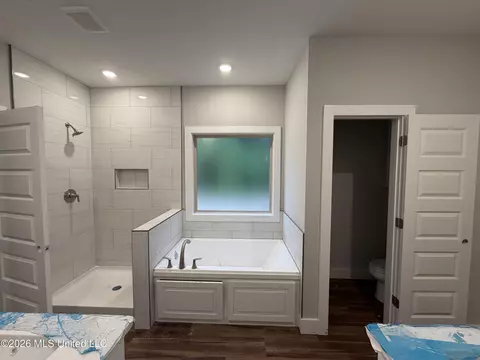 Bath - 224 New Haven Ln, Brandon, MS 39042 photo 2 of 4