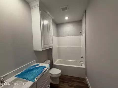 Bath - 224 New Haven Ln, Brandon, MS 39042 photo 3 of 4