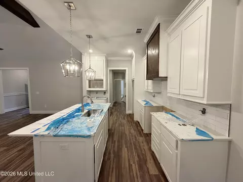 Kitchen - 224 New Haven Ln, Brandon, MS 39042 photo 2 of 2