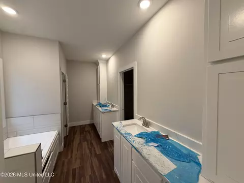 Bath - 224 New Haven Ln, Brandon, MS 39042 photo 1 of 4