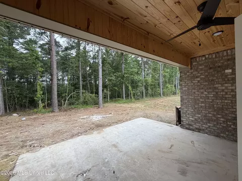 Exterior - 224 New Haven Ln, Brandon, MS 39042 photo 2 of 3