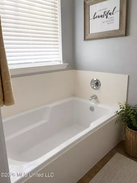Bath - 735 Prominence Dr, Flowood, MS 39232 photo 1 of 2