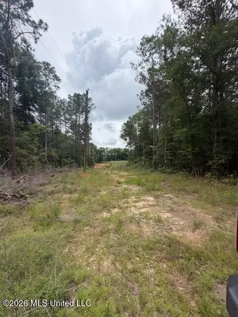 143 Mill Creek Ln, Lucedale, MS 39452 photo 4