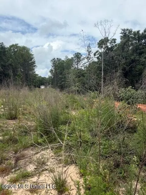 143 Mill Creek Ln, Lucedale, MS 39452 photo 6