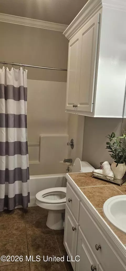 Bath - 157 Devlin Springs Dr, Madison, MS 39110 photo 1 of 1