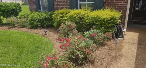 Exterior - 157 Devlin Springs Dr, Madison, MS 39110 photo 2 of 3
