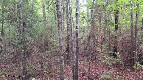 1048 Williamson Rd, Wesson, MS 39191 photo 10