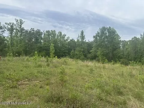 1048 Williamson Rd, Wesson, MS 39191 photo 2