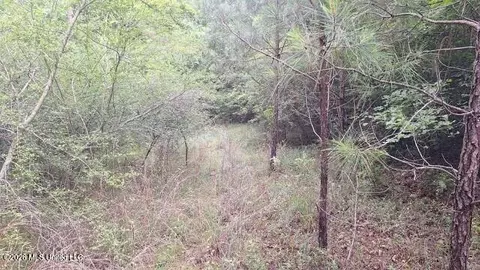 1048 Williamson Rd, Wesson, MS 39191 photo 9