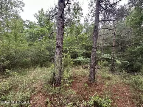 1048 Williamson Rd, Wesson, MS 39191 photo 5
