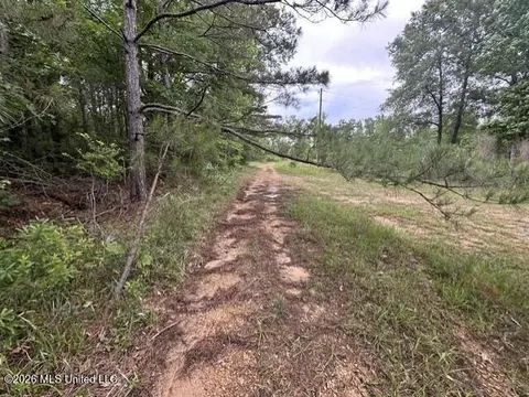 1048 Williamson Rd, Wesson, MS 39191 photo 6