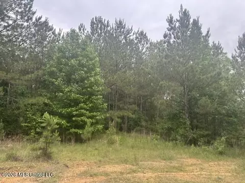 1048 Williamson Rd, Wesson, MS 39191