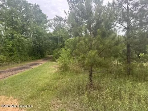 1048 Williamson Rd, Wesson, MS 39191 photo 7