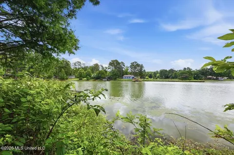 View/Area - 105 Willow Ln, Florence, MS 39073 photo 19 of 33