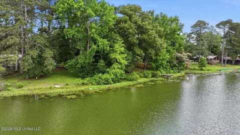 View/Area - 105 Willow Ln, Florence, MS 39073 photo 29 of 33