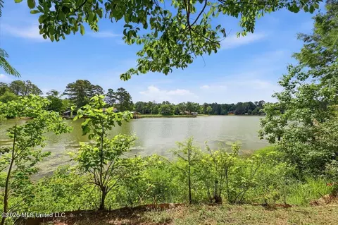 View/Area - 105 Willow Ln, Florence, MS 39073 photo 1 of 33
