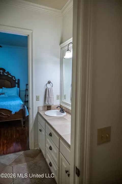 Bath - 10 Audubon Pl, Natchez, MS 39120 photo 6 of 6