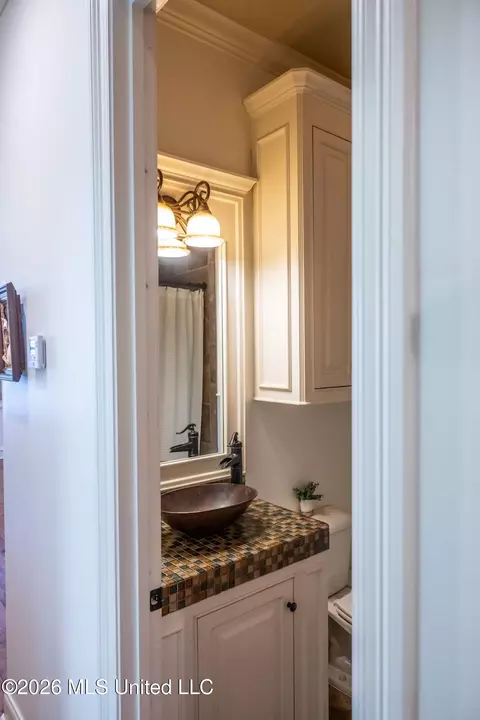 Bath - 10 Audubon Pl, Natchez, MS 39120 photo 5 of 6