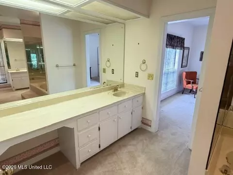 Bath - 340 Hanley Cir, Brandon, MS 39047 photo 5 of 7