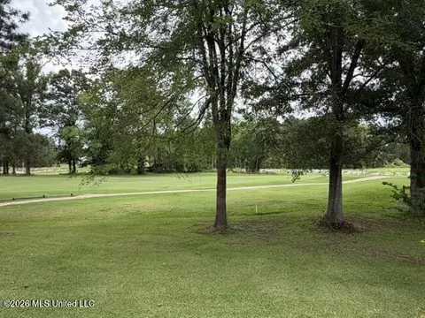 Other - 340 Hanley Cir, Brandon, MS 39047 photo 11 of 11