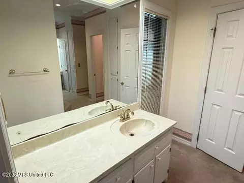 Bath - 340 Hanley Cir, Brandon, MS 39047 photo 2 of 7